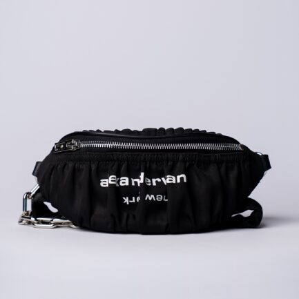 Alexander McQueen Bag